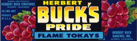 Herbert Buck s Pride